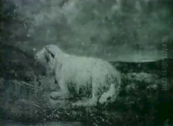 Sheep Portrait Oil Painting by David Johnson