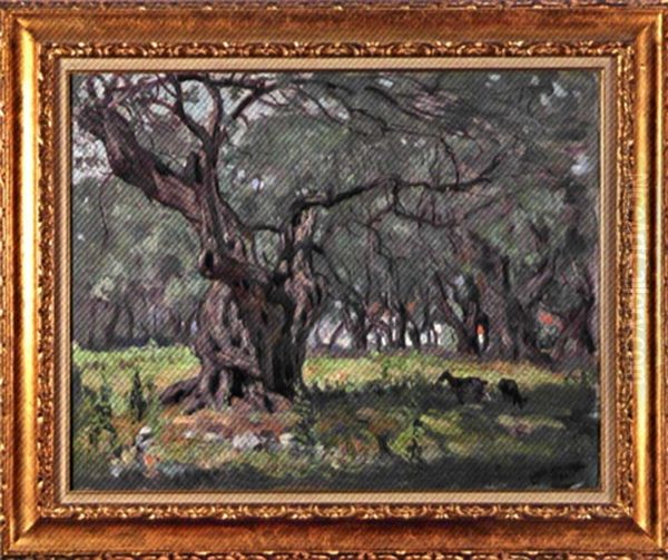 Le Vieil Olivier Oil Painting by Lucien Hector Jonas