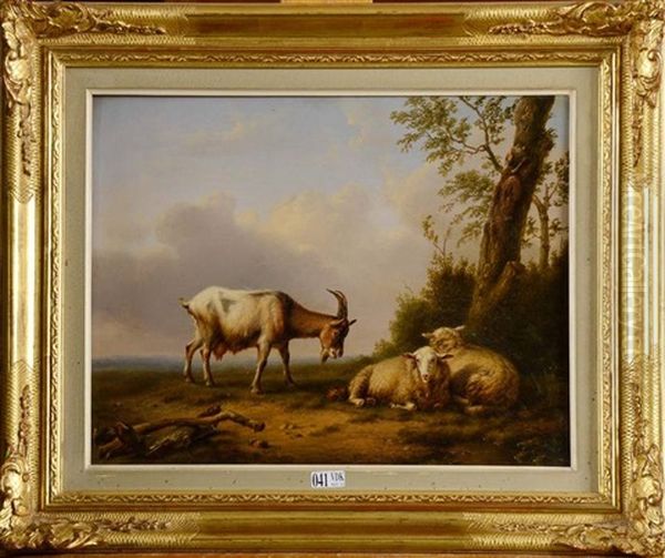 Chevre Et Moutons Au Pre Oil Painting by Daniel-Adolphe-Robert Jones