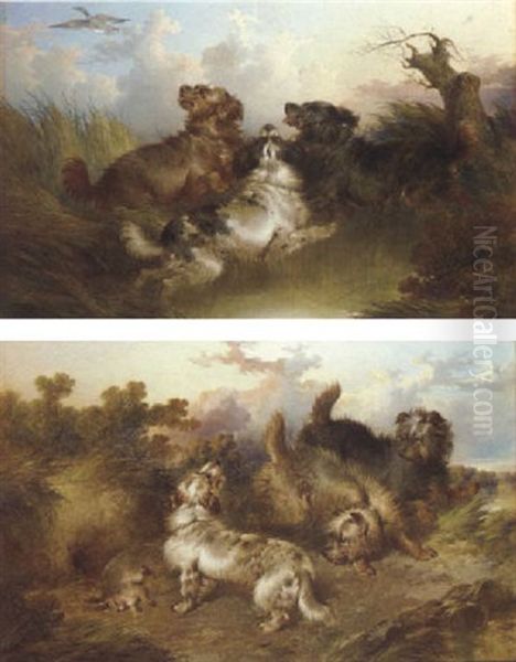 Spaniels Flushing A Duck Oil Painting by Paul Jones