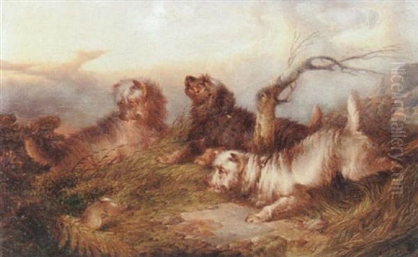 Terriers Hunting Oil Painting by Paul Jones