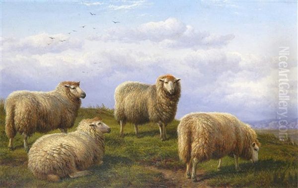 Sheep Grazing Oil Painting by Charles Jones