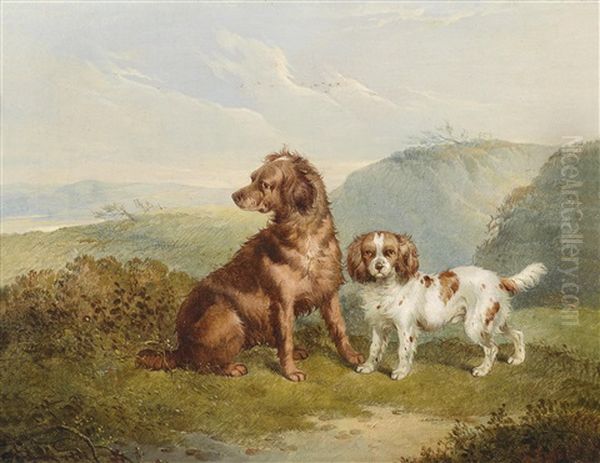 Zwei Hunde In Weiter Landschaft Oil Painting by Charles Jones