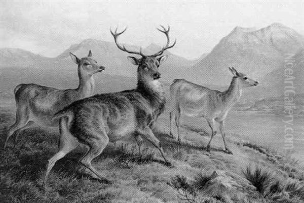 Highland Stag And Deer Oil Painting by Charles Jones
