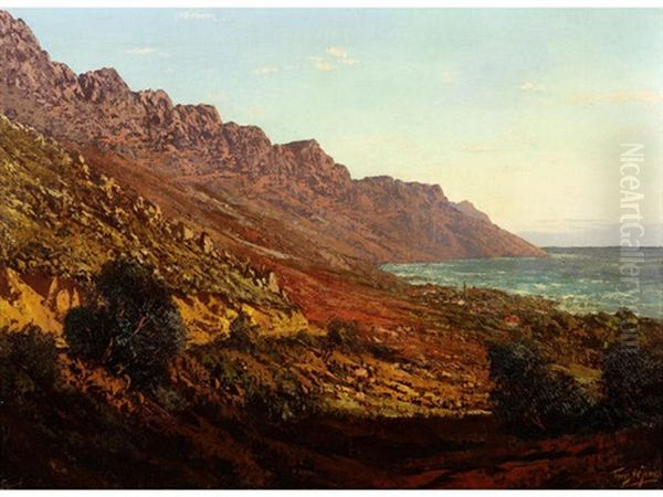 Camps Bay And The Twelve Apostles Oil Painting by Tinus de Jongh