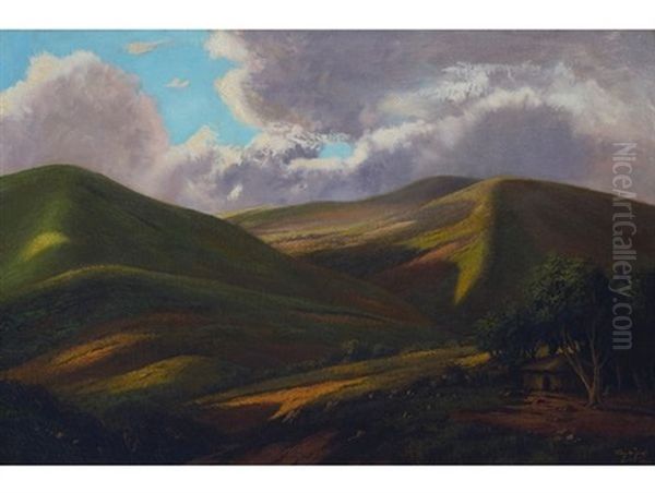 Hills Of Pondoland Oil Painting by Tinus de Jongh