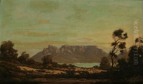 A View Of Cape Town From Milnerton Oil Painting by Tinus de Jongh