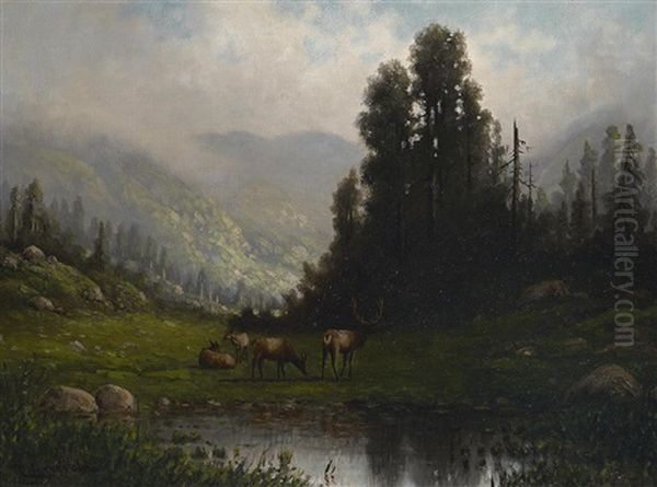Deer Watering; In Marin Co., California (a Group Of Two) Oil Painting by Carl Henrik Jonnevold