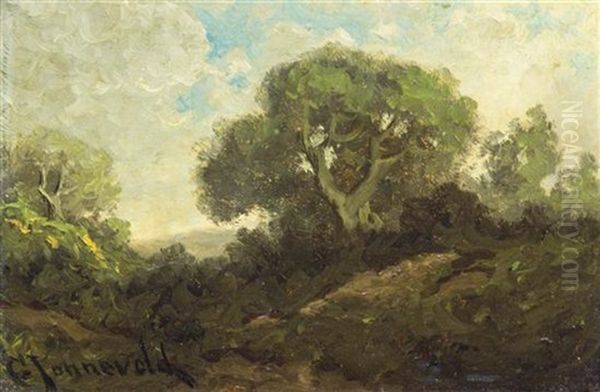 Cloudy Day California Oil Painting by Carl Henrik Jonnevold