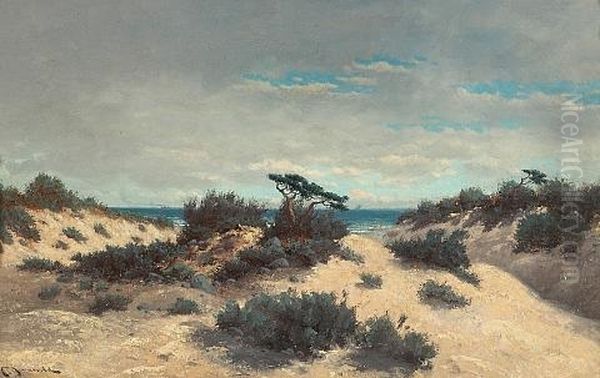Sand Dunes In The Clearing Storm Oil Painting by Carl Henrik Jonnevold
