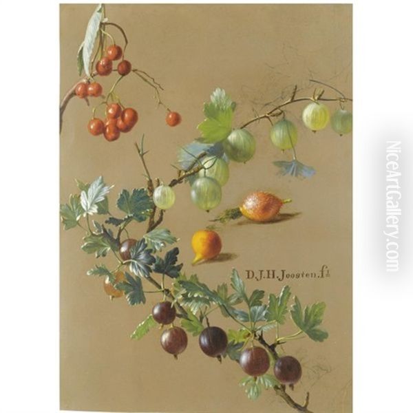Gooseberries, Currants And Rosehips (study) Oil Painting by Dirk Jan Hendrik Joosten