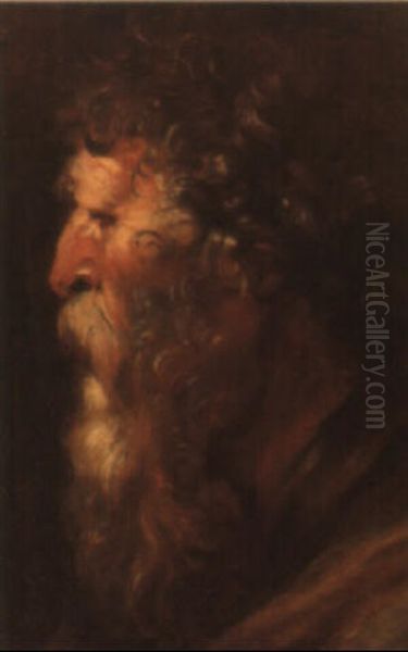 Head Of And Old Bearded Man Oil Painting by Jacob Jordaens