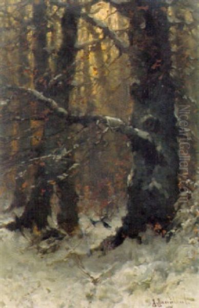 Winterwald Mit Zwei Vogeln Oil Painting by Johann II Jungblut