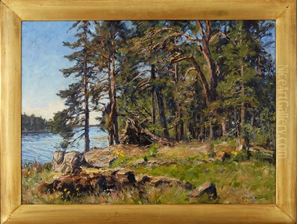 Solbelysta Tallar Oil Painting by Gottfrid Kallstenius