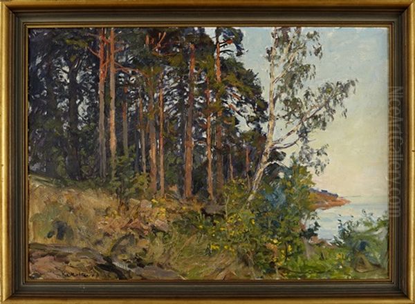 Solbelysta Tallar I Skargarden Oil Painting by Gottfrid Kallstenius
