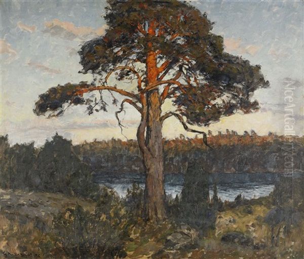 Solbelysta Tallar Oil Painting by Gottfrid Kallstenius