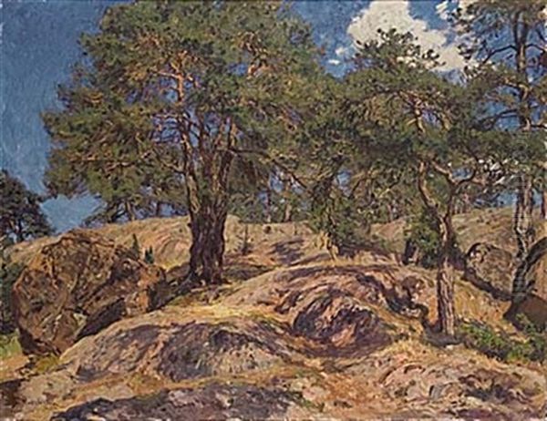 Solbelysta Tallar Oil Painting by Gottfrid Kallstenius