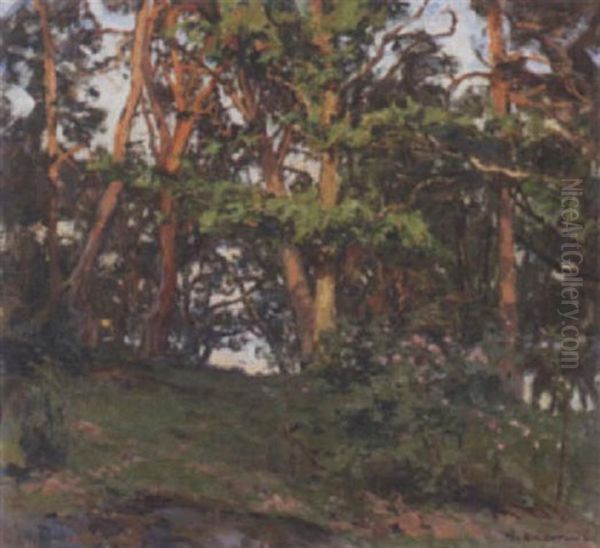 Afton Pa Skargardso - Motiv Fran Kallvik Oil Painting by Gottfrid Kallstenius