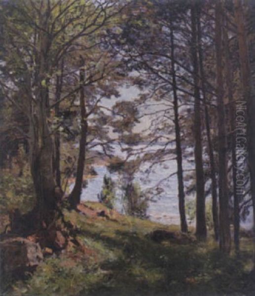 Solglitter Genom Traden - Skardslandskap Oil Painting by Gottfrid Kallstenius