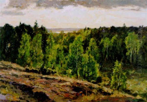 Sommarbjorkar - Landskapsutsikt Oil Painting by Gottfrid Kallstenius