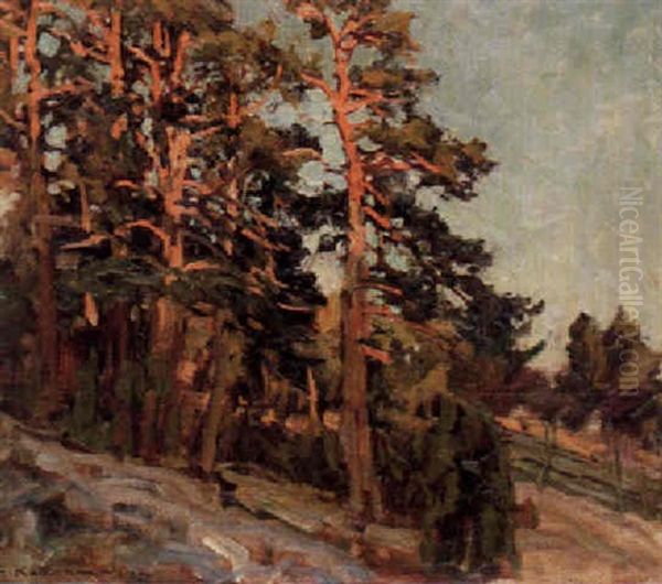 Solbelysta Tallar Oil Painting by Gottfrid Kallstenius