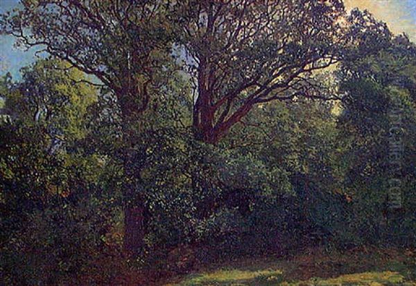 Motiv Fran Edsviken, Stockholm Oil Painting by Gottfrid Kallstenius