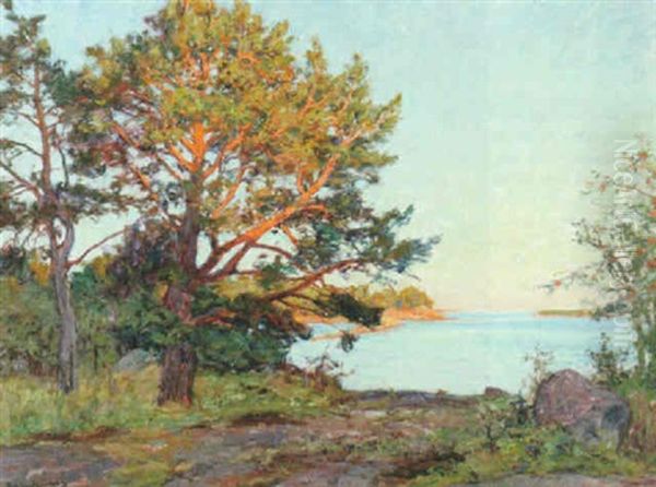 Tallar I Kvallssol Oil Painting by Gottfrid Kallstenius
