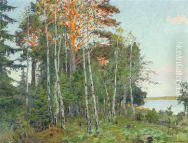 Sobelysta Tallar Oil Painting by Gottfrid Kallstenius