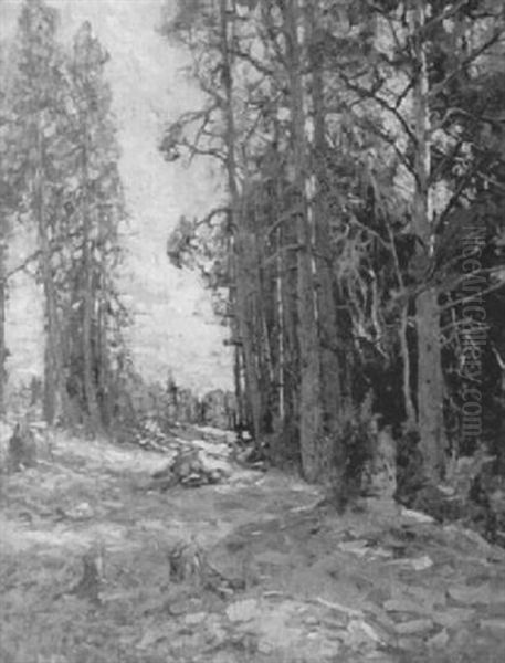 Solig Skogsglanta Oil Painting by Gottfrid Kallstenius
