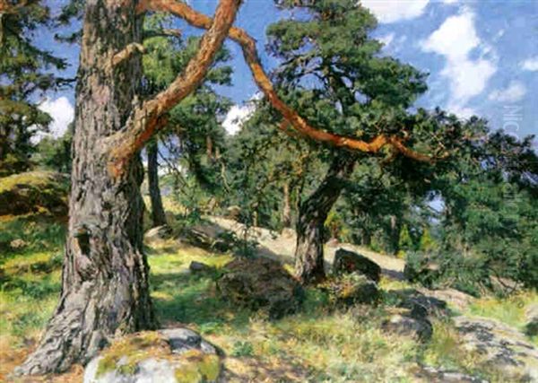 Skargardslandskap Med Tallar Oil Painting by Gottfrid Kallstenius