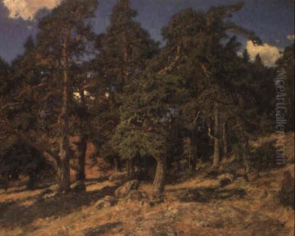 Solbelysta Tallar Oil Painting by Gottfrid Kallstenius