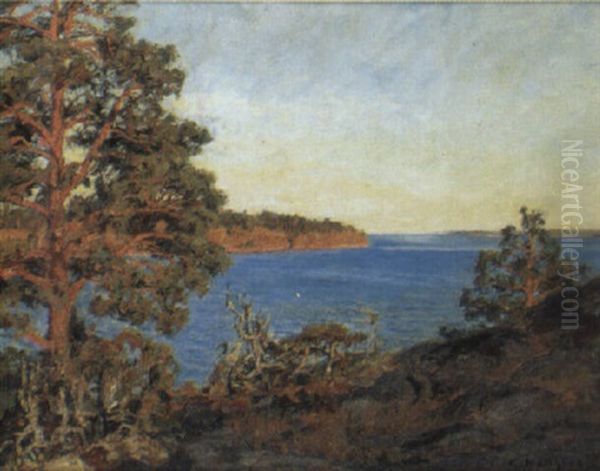 Strandlandskap I Sol - Motiv Fran K,llvik Oil Painting by Gottfrid Kallstenius