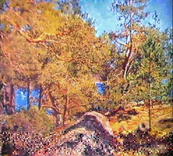 Solbelysta Tallar Vid Sjo Oil Painting by Gottfrid Kallstenius