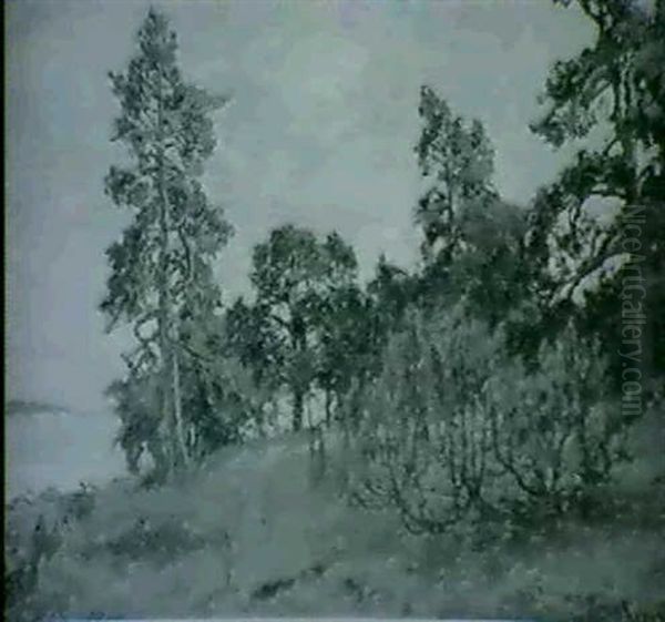 Strandlandskap Med Tallar - Solig Sommardag Oil Painting by Gottfrid Kallstenius