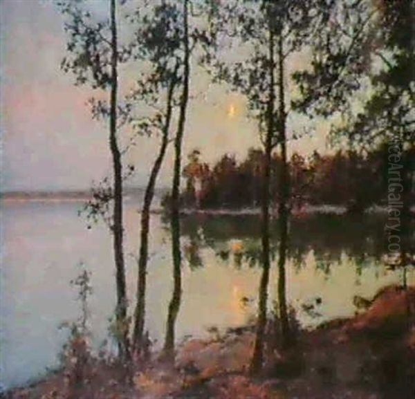 Tallar I Mansken Oil Painting by Gottfrid Kallstenius