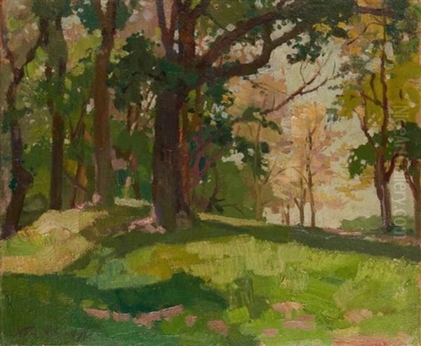 Light Reflections In Forest Oil Painting by Naci Kalmukoglu