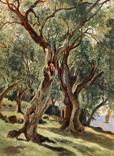 Olivenhain Bei Torbole Am Gardasee. Studie Oil Painting by Edmund Friedrich Kanoldt