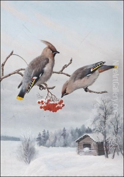 Tilhet Oksalla - Sidensvansar Pa Grenen Oil Painting by Matti Karppanen