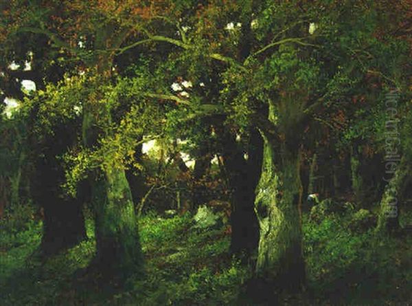 Reisigsammlerin Im Buchenwald Oil Painting by Adolf Kaufmann