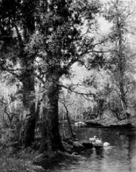 Herbststimmung In Lichtem Mischwald Oil Painting by Adolf Kaufmann