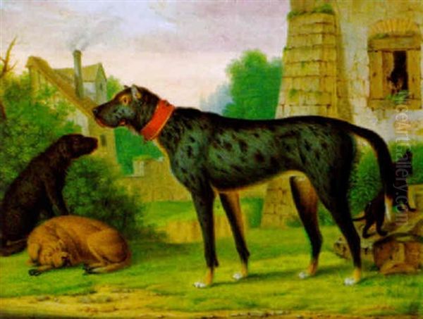 Vier Hunde Vor Dem Fenster Eines Alten Gebaudes, In Das Sich Eine Katze Gefluchtet Hat Oil Painting by Christian Wilhelm Karl Kehrer