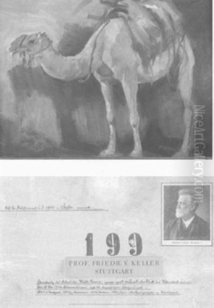 Kamel In Jaffa Oil Painting by Friedrich von Keller