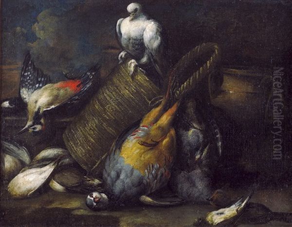Jagdstillleben Mit Rebhuhn Und Anderem Federwild Oil Painting by Jacob van der (Giacomo da Castello) Kerckhoven
