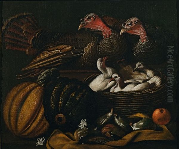 Still Life With Two Turkeys, Pidgeons, Pumpkins And Figs Oil Painting by Jacob van der (Giacomo da Castello) Kerckhoven