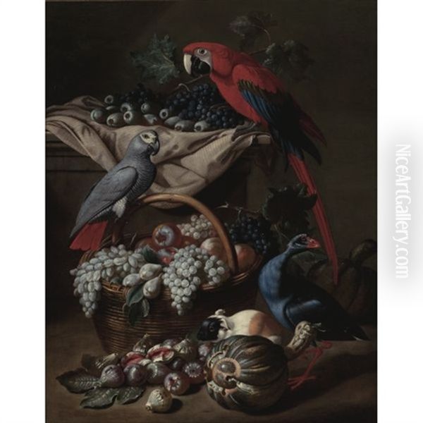 Still Life With Two Parrots, A Guinea Pig, A Basket Of Fruit And Fowl Oil Painting by Jacob van der (Giacomo da Castello) Kerckhoven