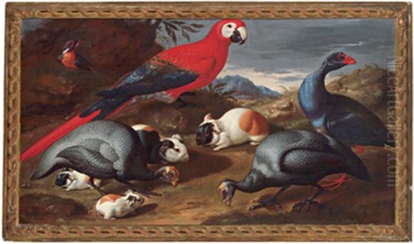 Natura Morta Con Papagallo E Uccelli Oil Painting by Jacob van der (Giacomo da Castello) Kerckhoven
