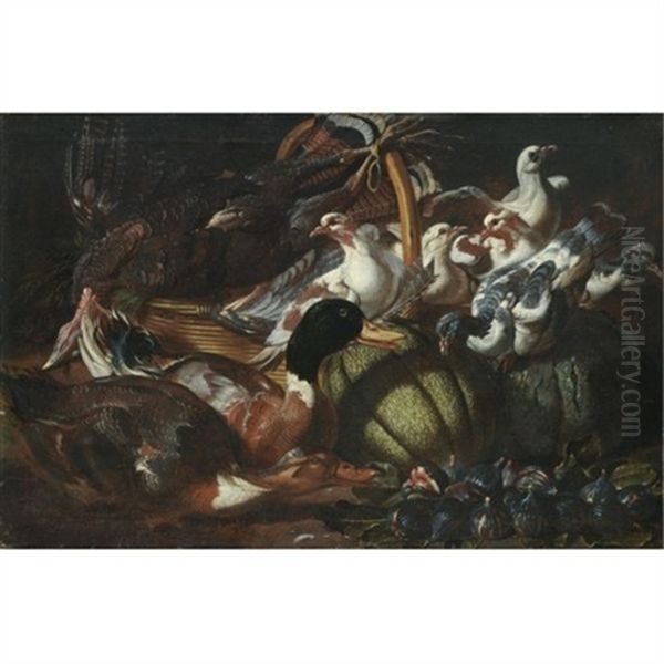 A Still Life With Ducks, Pigeons, A Dead Turkey, Figs And Melons Oil Painting by Jacob van der (Giacomo da Castello) Kerckhoven