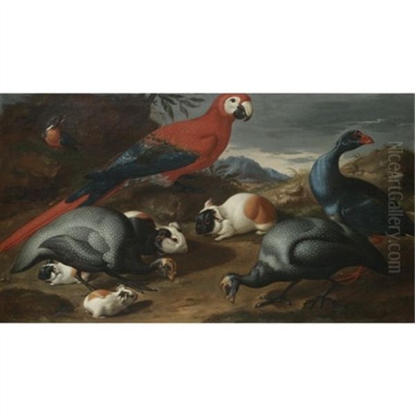 A Still Life With Guinea Pigs, A Parrot And Other Exotic Birds Oil Painting by Jacob van der (Giacomo da Castello) Kerckhoven