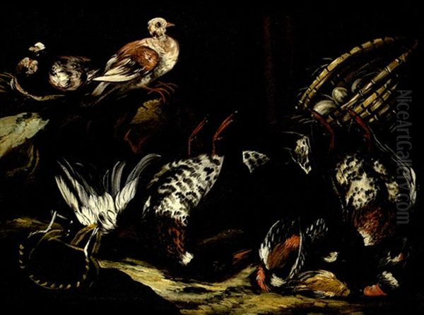 Nature Morte Aux Oiseaux Oil Painting by Jacob van der (Giacomo da Castello) Kerckhoven