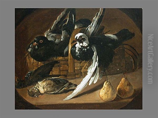 Stilleben Mit Tauben Und Birnen Oil Painting by Jacob van der (Giacomo da Castello) Kerckhoven